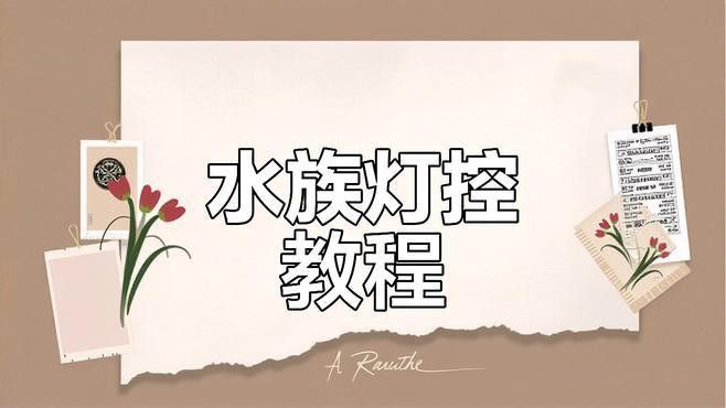 如何設(shè)置紅龍魚缸的燈光時(shí)間？