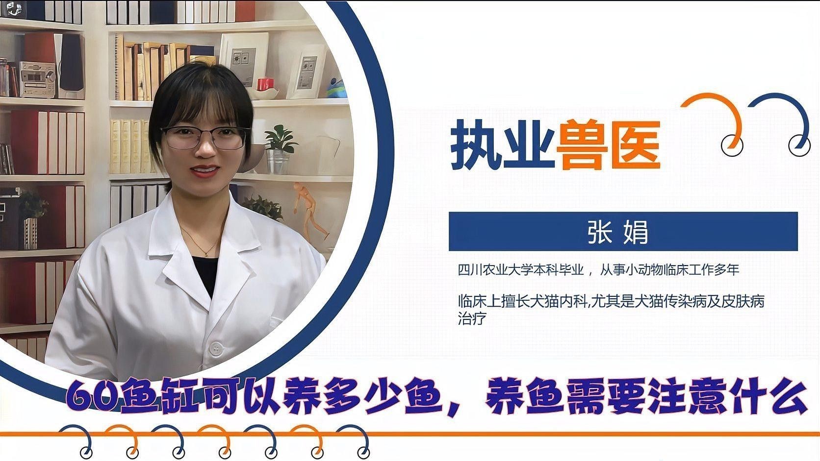 60cm缸養(yǎng)什么魚合適？