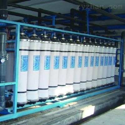 龍魚發色什么時間開始：龍魚的發色時間是固定的嗎