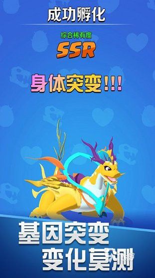 《養龍》哪個版本更受歡迎？