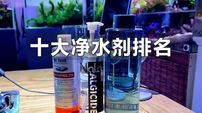 口碑最好的魚缸凈水劑