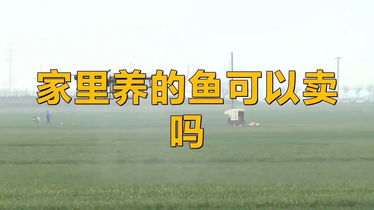 賣觀賞魚