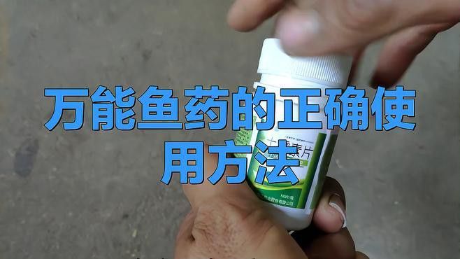 如何正確使用紅龍魚養殖藥物？