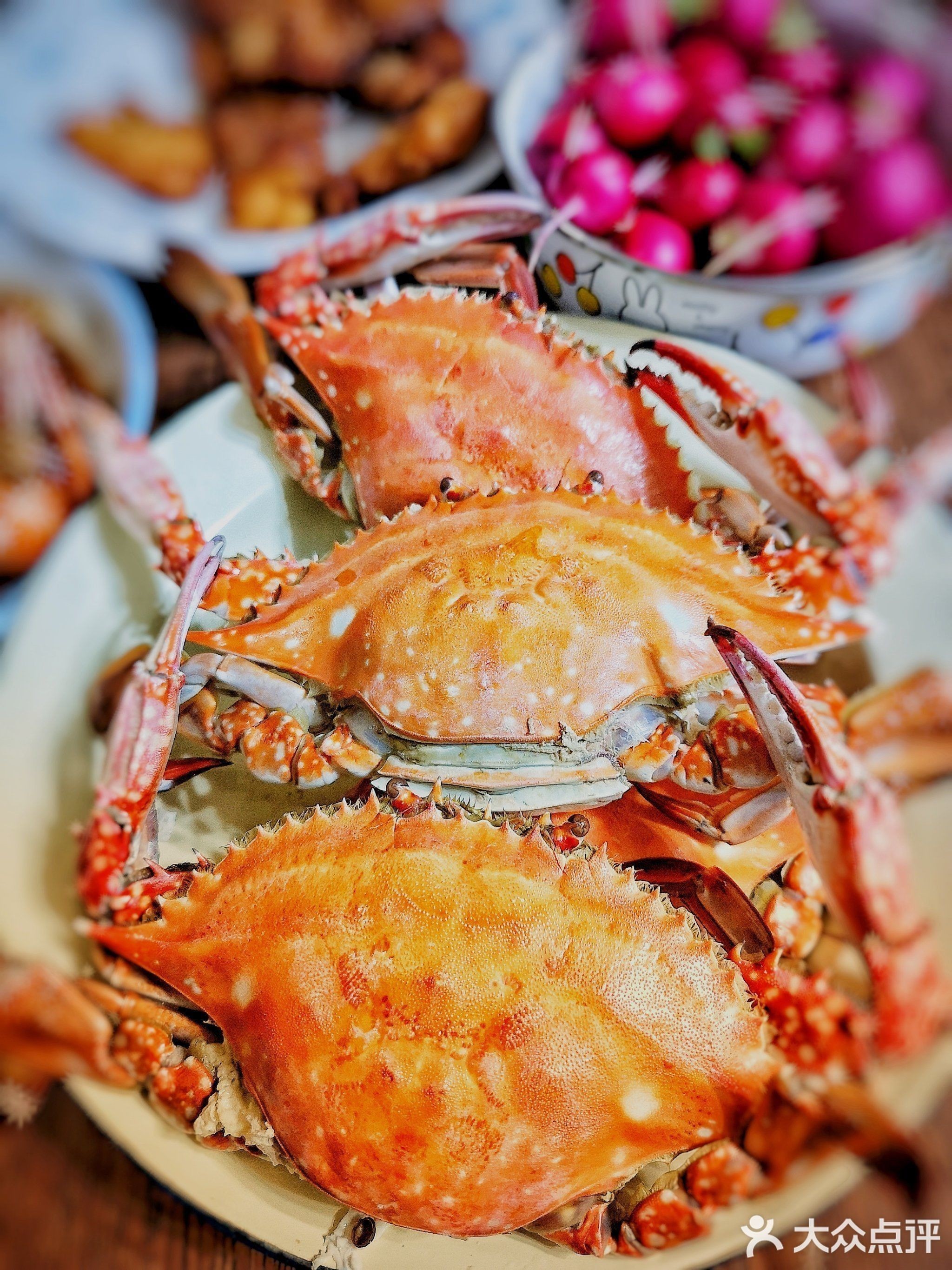 天津紅龍魚苗批發市場地址