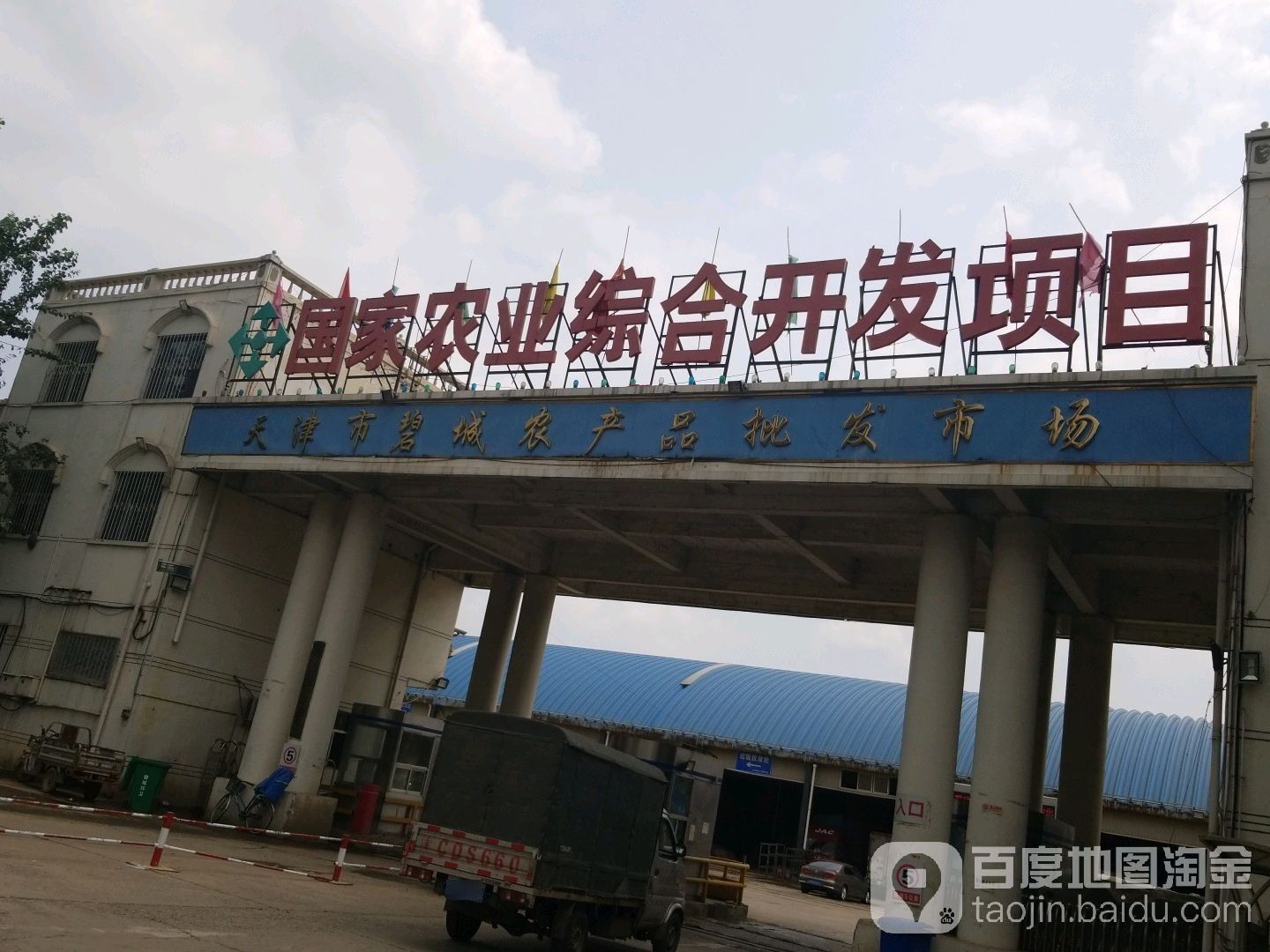 天津紅龍魚苗批發市場地址