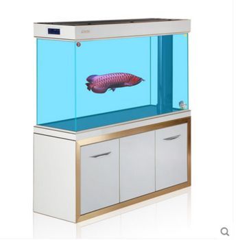 龍魚缸什么牌子的好一點：優質龍魚缸品牌