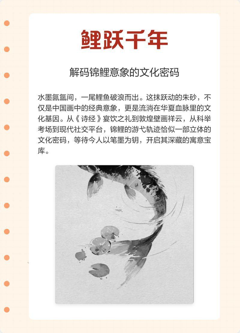 錦鯉魚三不過是什么意思