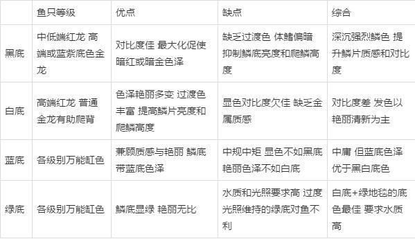 龍魚魚缸底色和背景色的區(qū)別在哪：魚缸底色與背景色對龍魚的影響