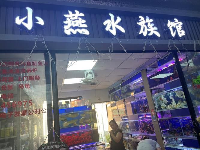 北海龍魚專賣店