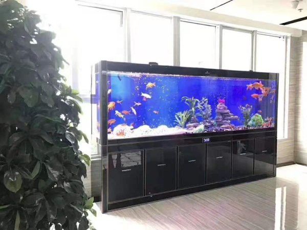 西龍魚缸售后服務電話地址查詢