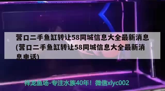 營口二手魚缸轉讓58同城信息大全最新消息(營口二手魚缸轉讓58同城信息大全最新消息電話)