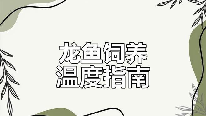 紅龍魚發(fā)色時需要提高溫度嗎？ 紅龍魚發(fā)色時需要提高溫度嗎？ 龍魚百科 第5張