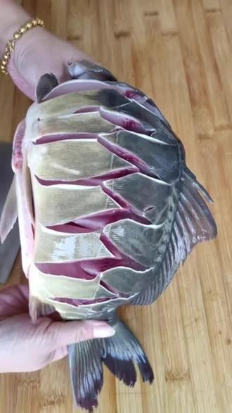 金龍魚怎么做才好吃