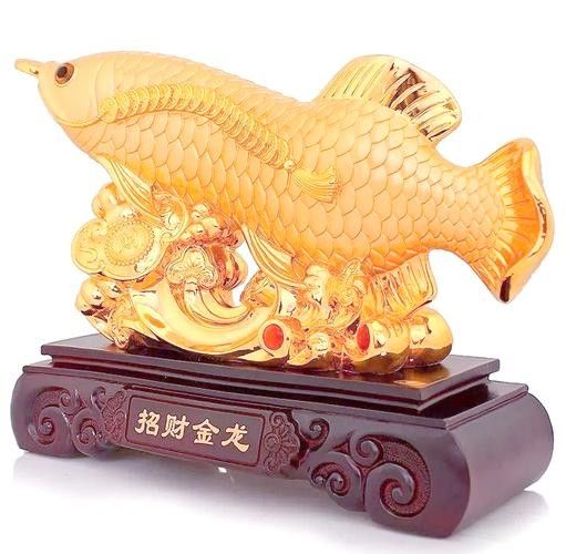 龍魚算風水魚嗎圖片