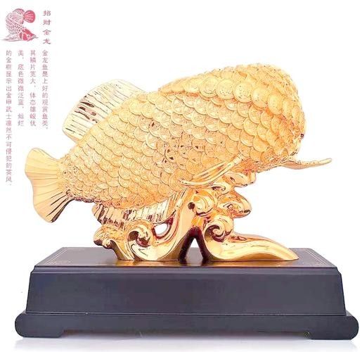 龍魚算風水魚嗎圖片