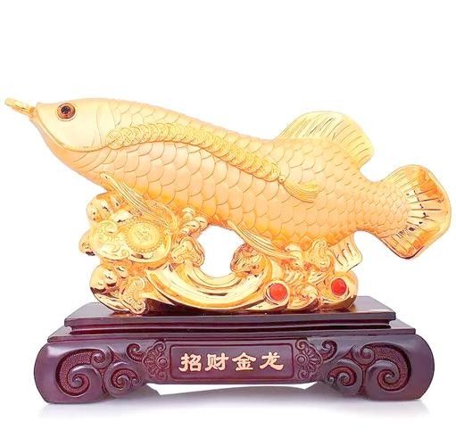 龍魚算風水魚嗎圖片