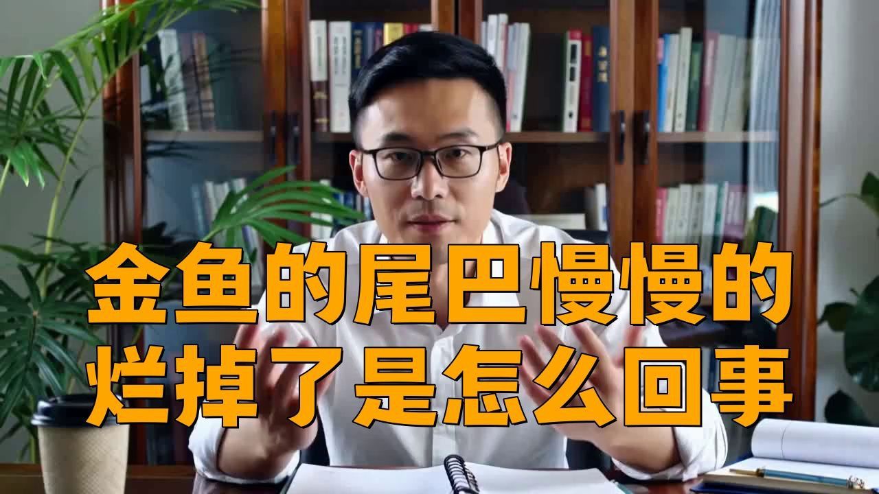 龍睛金魚爛尾病有哪些癥狀？