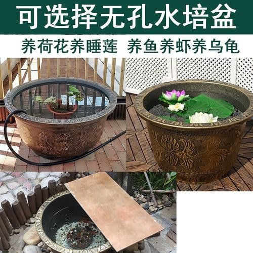 推薦幾款性價比最高的1.2米龍缸