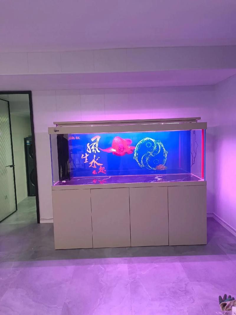 推薦幾款性價比最高的1.2米龍缸