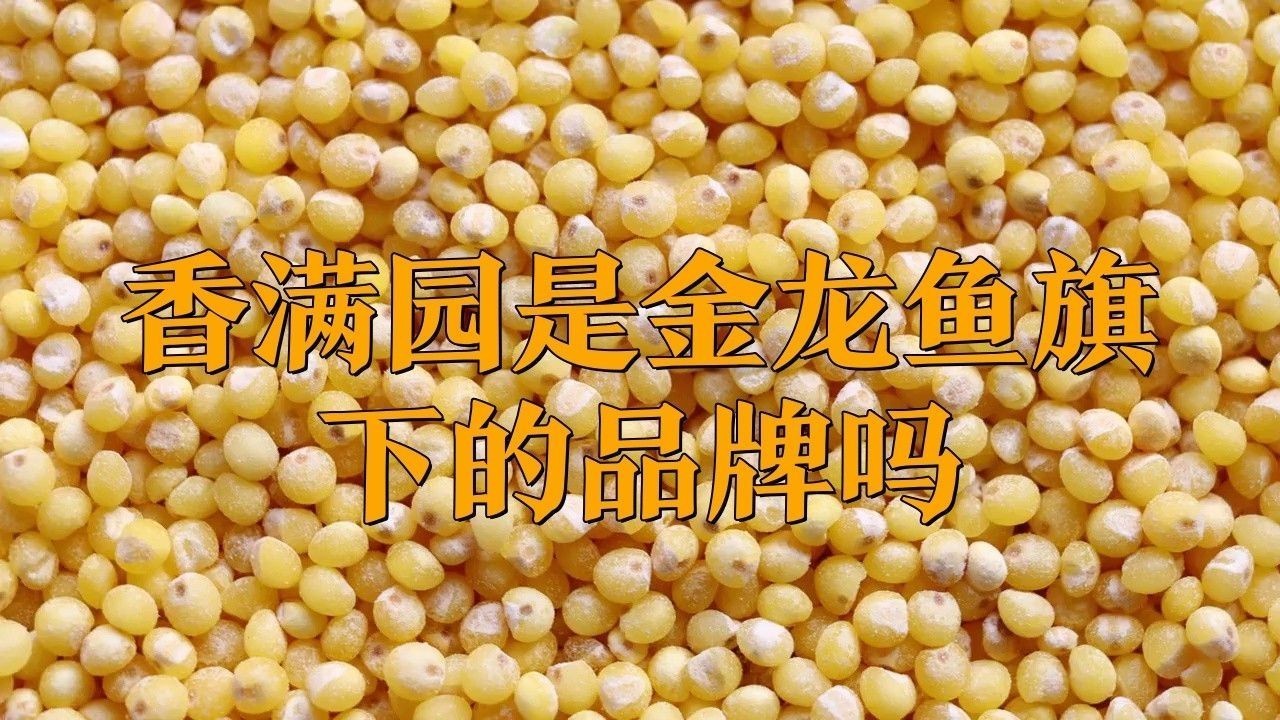 金龍魚品牌產(chǎn)品有哪些