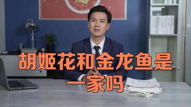 金龍魚品牌產(chǎn)品有哪些