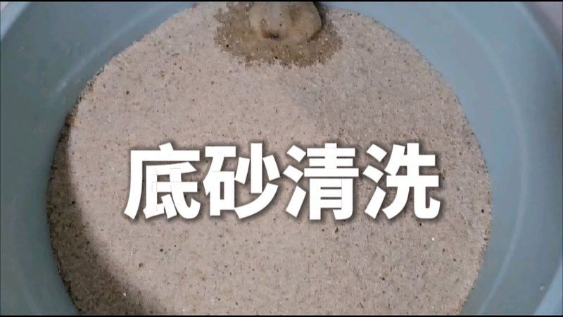 如何判斷金龍魚缸底砂是否需要清洗？