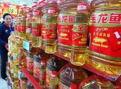 金龍魚多少一條（金龍魚市場價格最新動態(tài)）