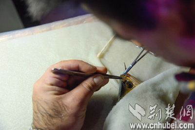 龍魚眼手術多少錢能做：龍魚眼手術的價格是多少