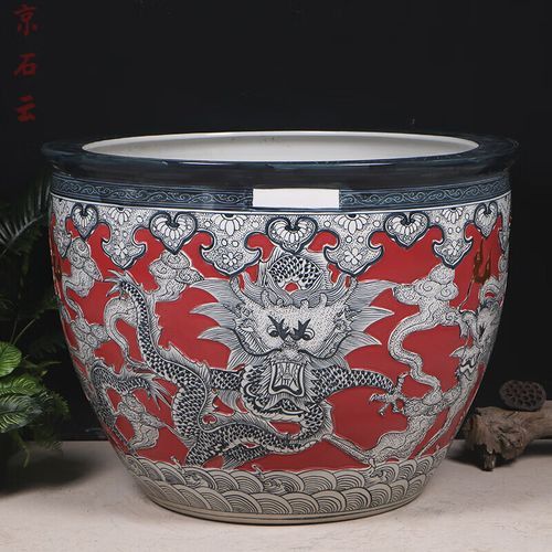 藍面神仙魚