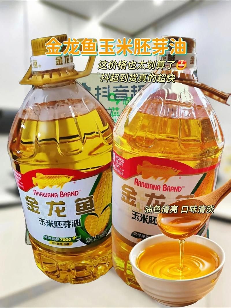 家中金龍魚擺件怎么擺【家中金龍魚擺件擺放風水講究金龍魚擺件的擺放風水講究】