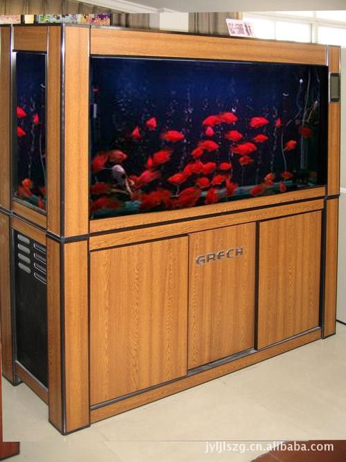 推薦幾款適合高背金龍魚的魚缸品牌