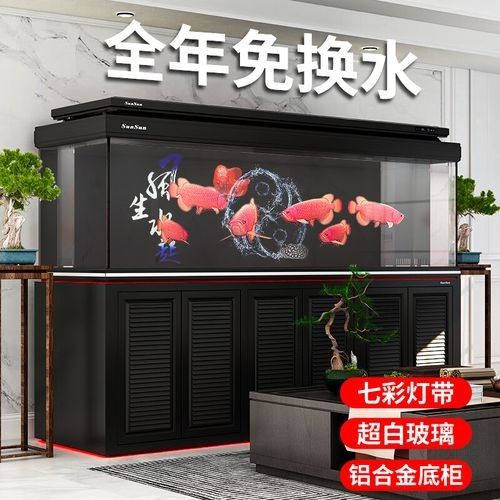 龍魚缸哪些品牌性價比最高？