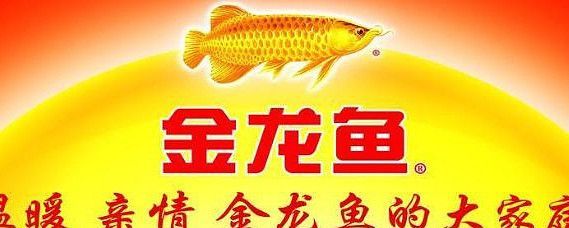 金龍魚 郭：《紅樓夢》中的重要人物——金龍魚 金龍魚 郭：《紅樓夢》中的重要人物——金龍魚 龍魚百科 第5張