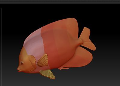 天使金龍魚（天使金龍魚是什么魚）