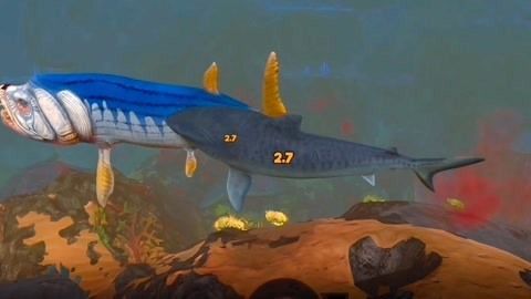 天使金龍魚（天使金龍魚是什么魚）