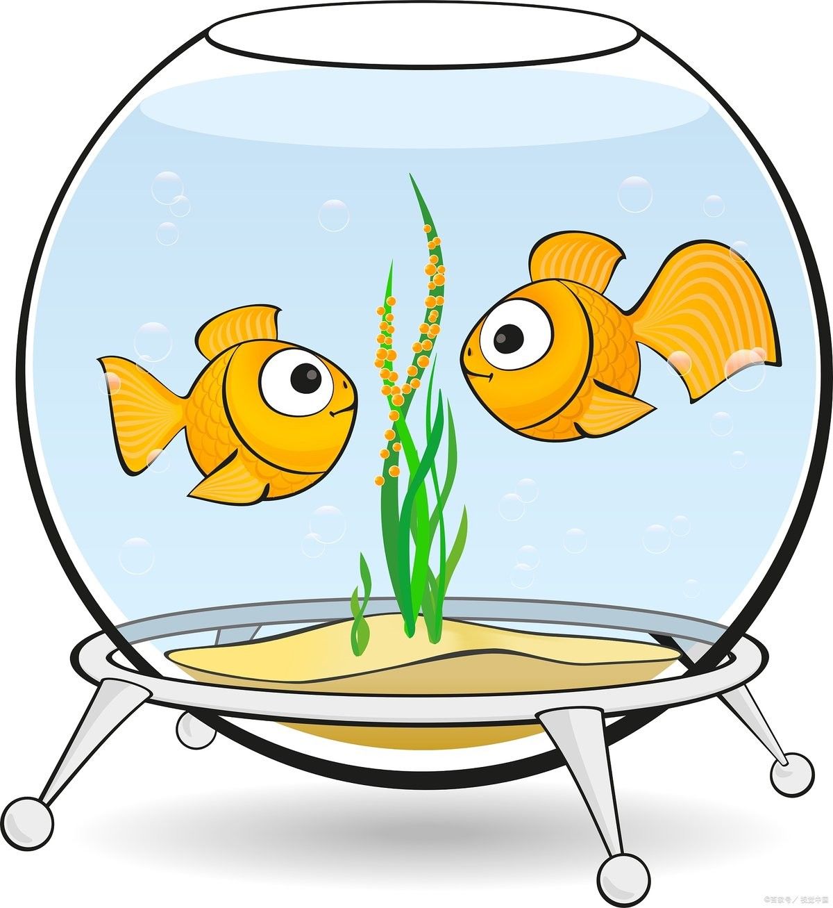 銀龍魚燈光可以長期開嗎多久