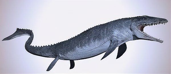 小說中還有哪些恐龍種類？