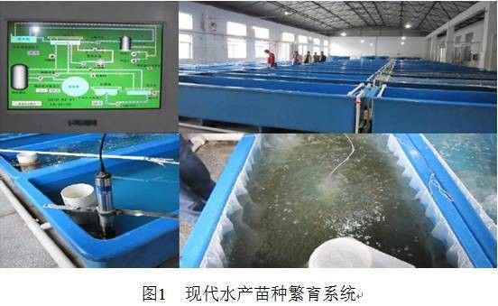 紅龍魚繁殖場需要哪些設(shè)備？