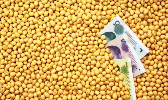 金龍魚暴漲：關于金龍魚暴漲的一些情況