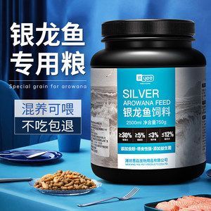 紅龍魚跟銀龍混養可以嗎（紅龍魚和銀龍魚混養在理論上可行嗎銀龍魚混養在理論上可行嗎）