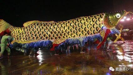 潮汕所說的龍魚（在潮汕地區(qū)，“龍魚”這一稱呼可能指代多種魚類）