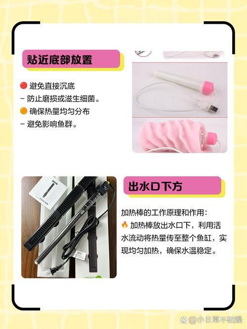 哪種加熱棒適合龍魚缸