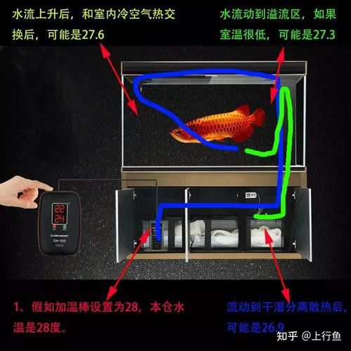 哪種加熱棒適合龍魚缸