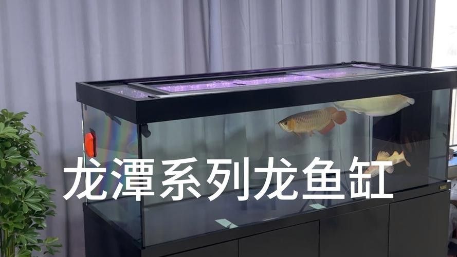 龍魚魚缸造景圖片大全大圖