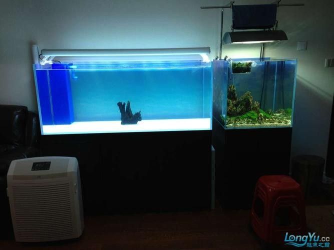 龍魚魚缸造景圖片大全大圖