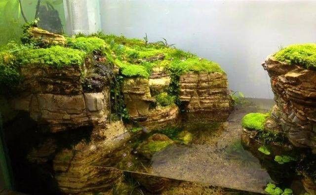 龍魚魚缸造景圖片大全大圖
