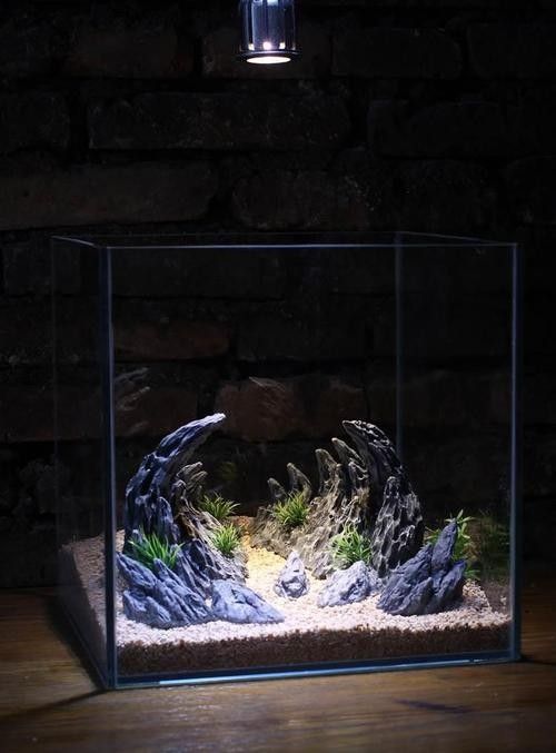 龍魚魚缸造景圖片大全大圖