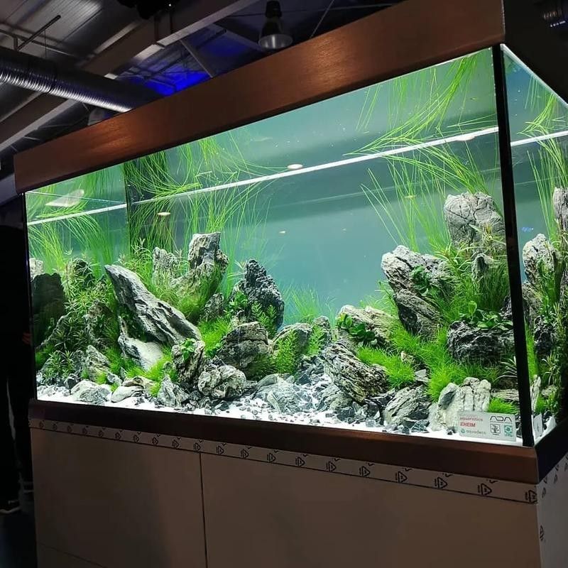 龍魚魚缸造景圖片大全大圖