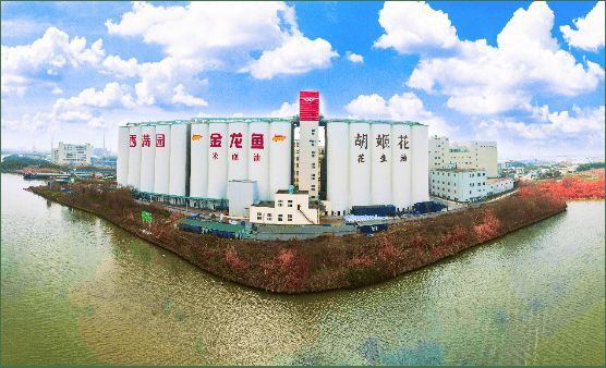 金龍魚食品卡2024年最新消息