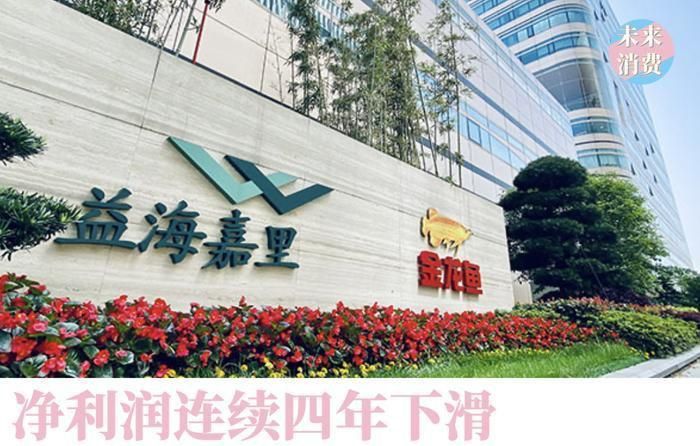 金龍魚食品卡2024年最新消息